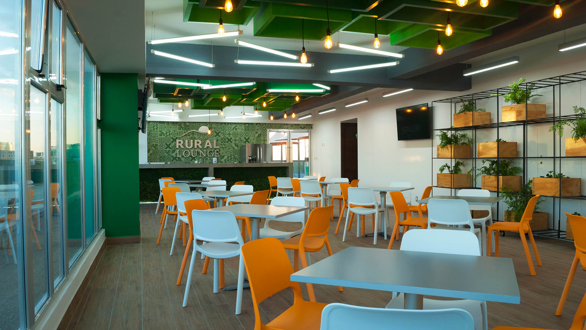 Forma y Función Arquitectónica